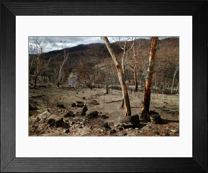 Framed Print : Picture No. 10863114 Framed Print : Picture No. 10863114