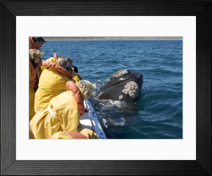 Framed Print : Picture No. 10865396 Framed Print : Picture No. 10865396