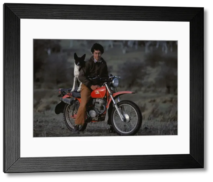 Framed Print : Picture No. 10865370 Framed Print : Picture No. 10865370