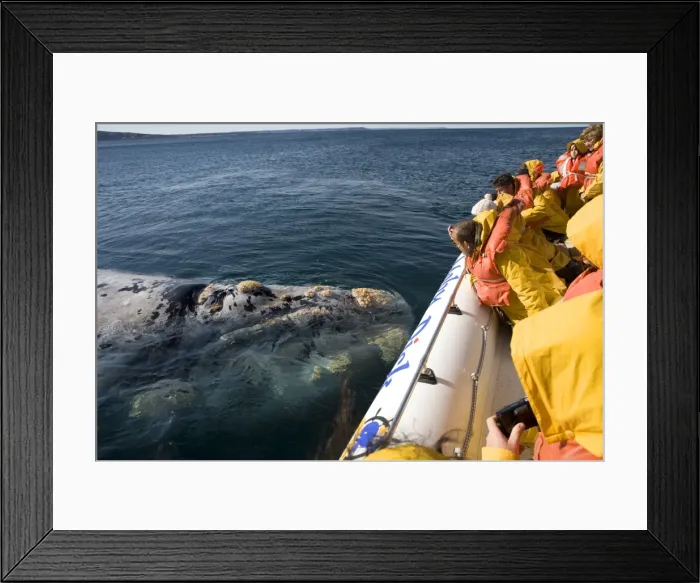 Framed Print : Picture No. 10865397 Framed Print : Picture No. 10865397