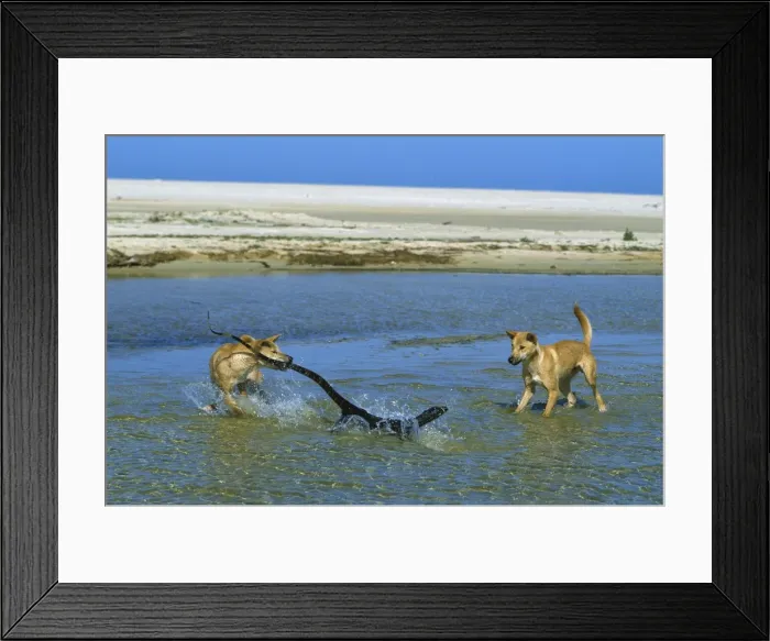 Framed Print : Picture No. 10865364 Framed Print : Picture No. 10865364