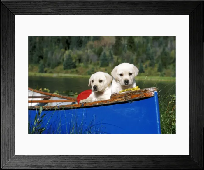 Framed Print : Picture No. 10867110 Framed Print : Picture No. 10867110