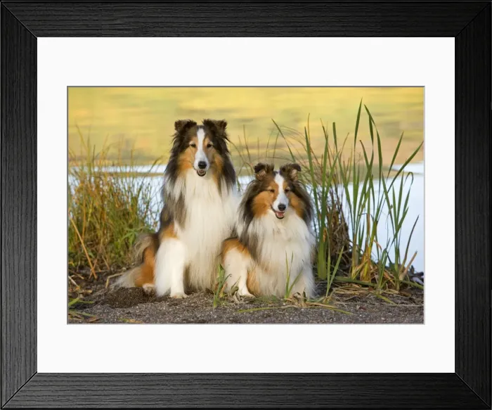 Framed Print : Picture No. 10873881 Framed Print : Picture No. 10873881