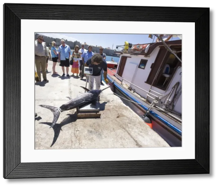 Framed Print : Picture No. 10872343 Framed Print : Picture No. 10872343