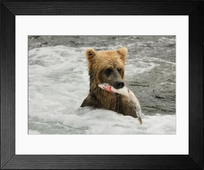 Framed Print : Picture No. 10872431 Framed Print : Picture No. 10872431