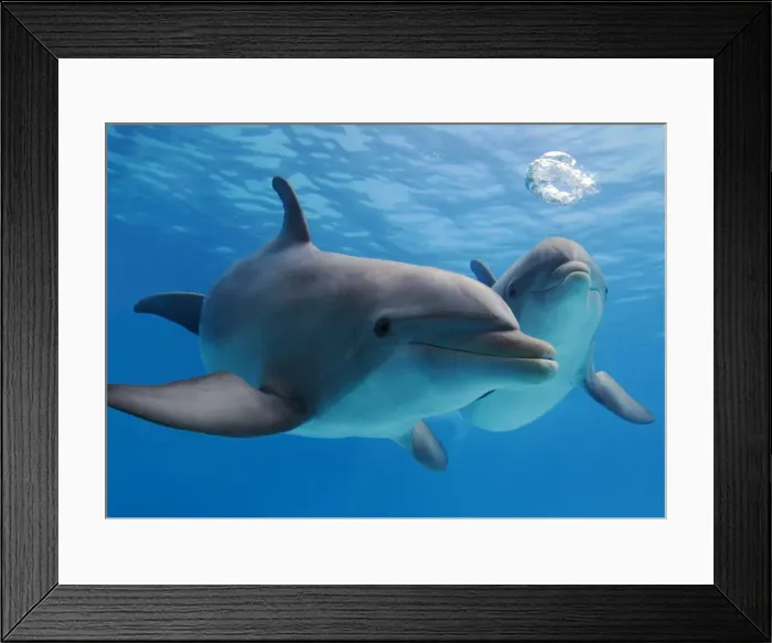 Framed Print : Picture No. 10873465 Framed Print : Picture No. 10873465