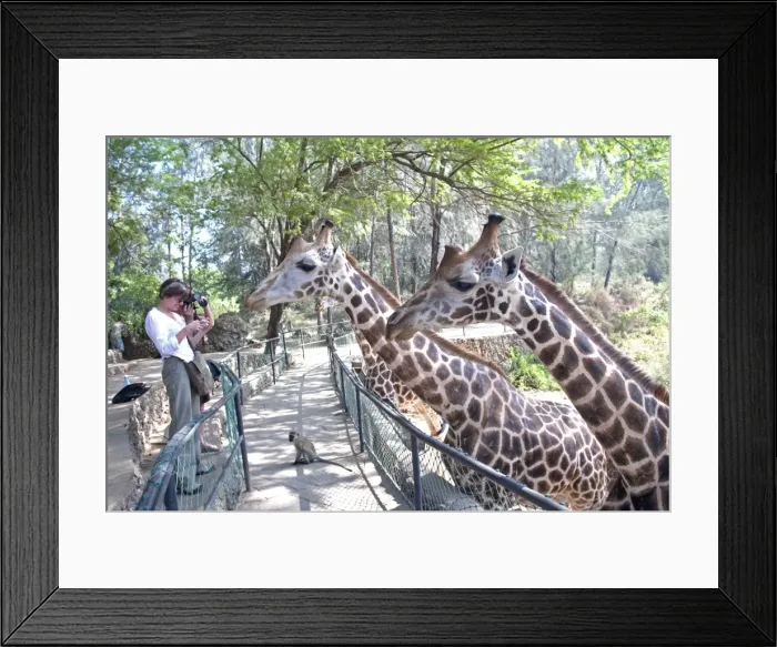 Framed Print : Picture No. 10873408 Framed Print : Picture No. 10873408