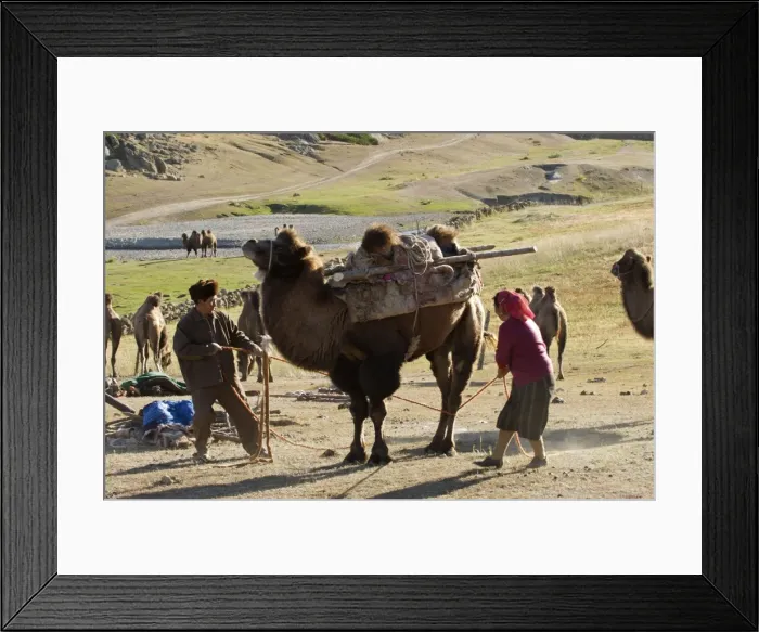 Framed Print : Picture No. 10872170 Framed Print : Picture No. 10872170