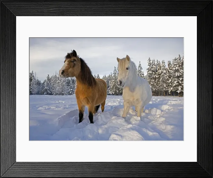 Framed Print : Picture No. 10872627 Framed Print : Picture No. 10872627
