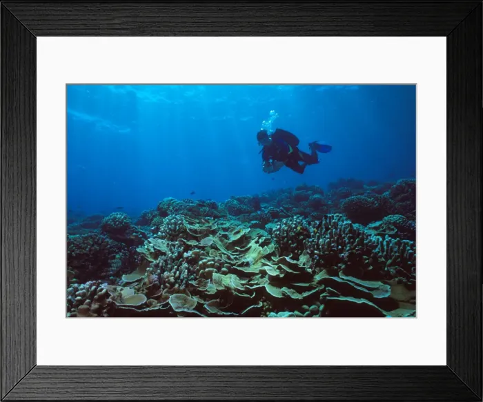 Framed Print : Picture No. 10872277 Framed Print : Picture No. 10872277