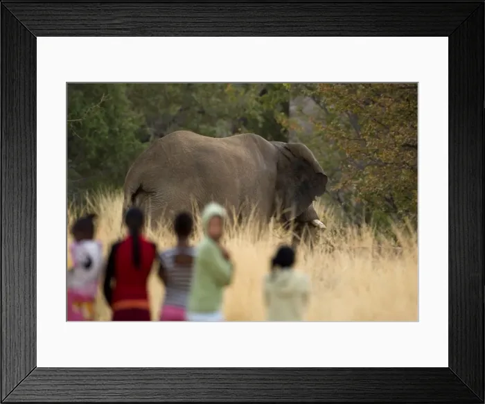 Framed Print : Picture No. 10874073 Framed Print : Picture No. 10874073