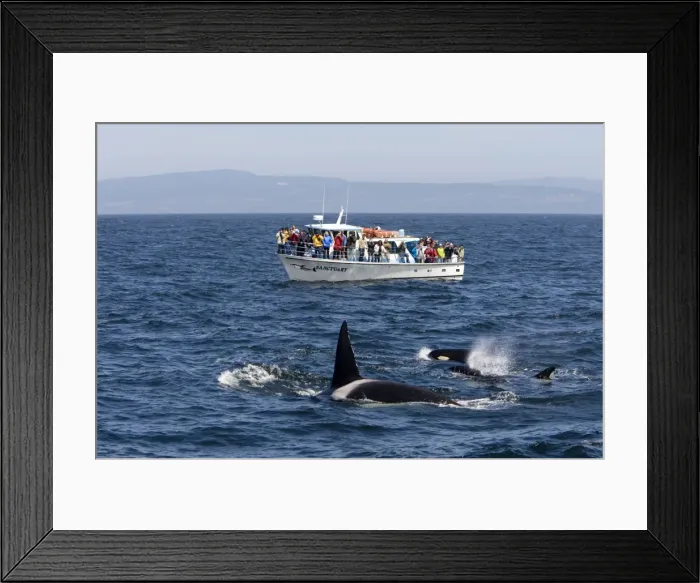 Framed Print : Picture No. 10873820 Framed Print : Picture No. 10873820