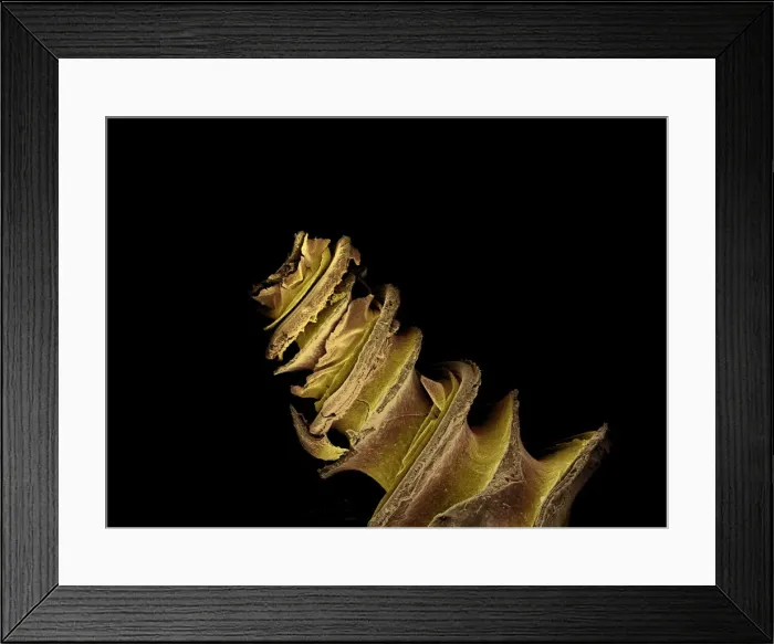 Framed Print : Picture No. 10873634 Framed Print : Picture No. 10873634