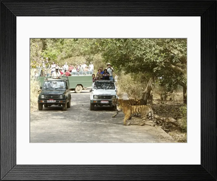 Framed Print : Picture No. 10872257