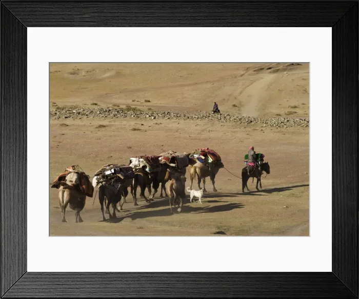 Framed Print : Picture No. 10872168