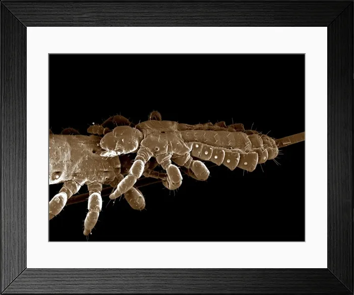 Framed Print : Picture No. 10873638 Framed Print : Picture No. 10873638