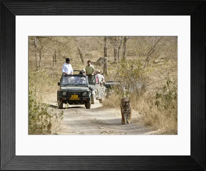 Framed Print : Picture No. 10872250 Framed Print : Picture No. 10872250