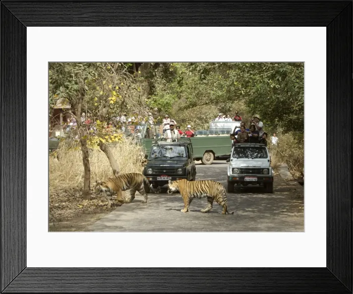 Framed Print : Picture No. 10872256 Framed Print : Picture No. 10872256