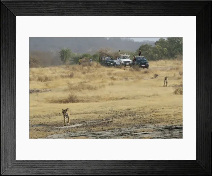 Framed Print : Picture No. 10872244 Framed Print : Picture No. 10872244
