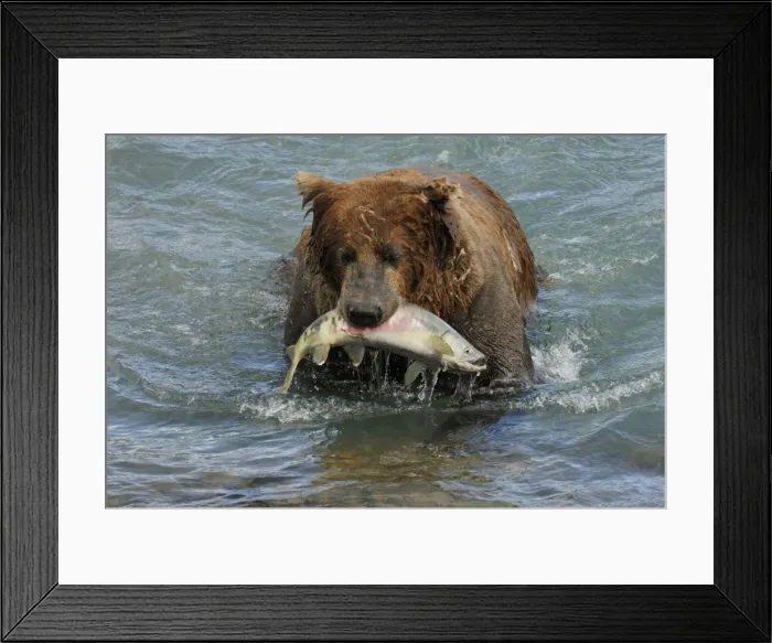 Framed Print : Picture No. 10872433 Framed Print : Picture No. 10872433