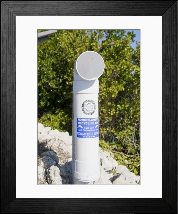 Framed Print : Picture No. 10873899 Framed Print : Picture No. 10873899