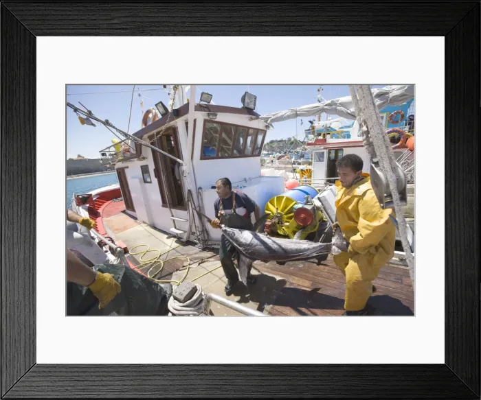 Framed Print : Picture No. 10872342 Framed Print : Picture No. 10872342