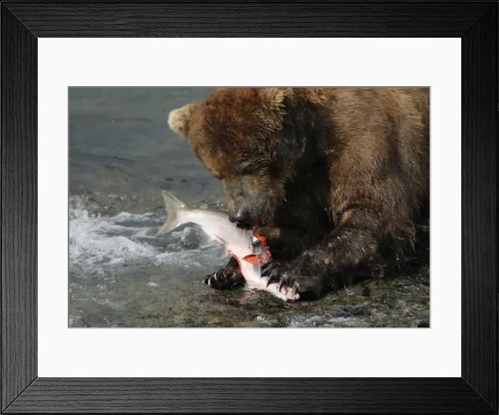 Framed Print : Picture No. 10872426 Framed Print : Picture No. 10872426