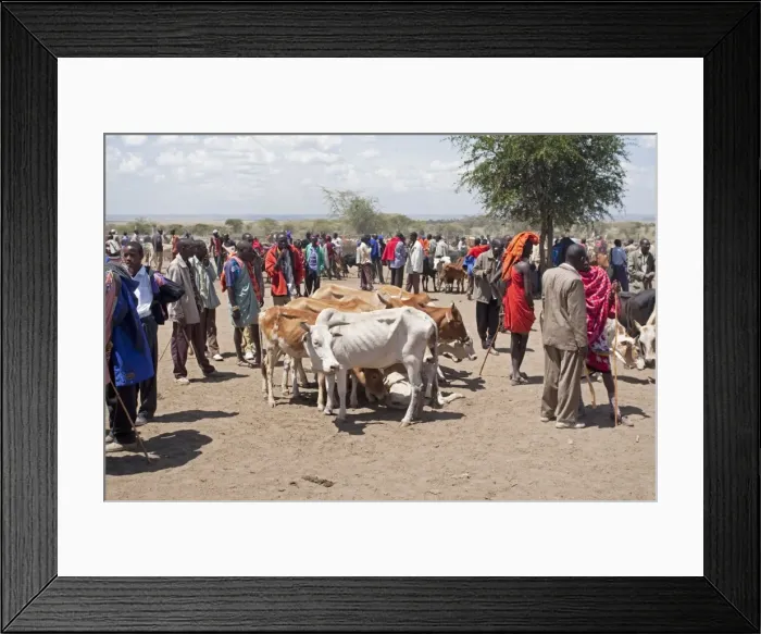 Framed Print : Picture No. 10873448