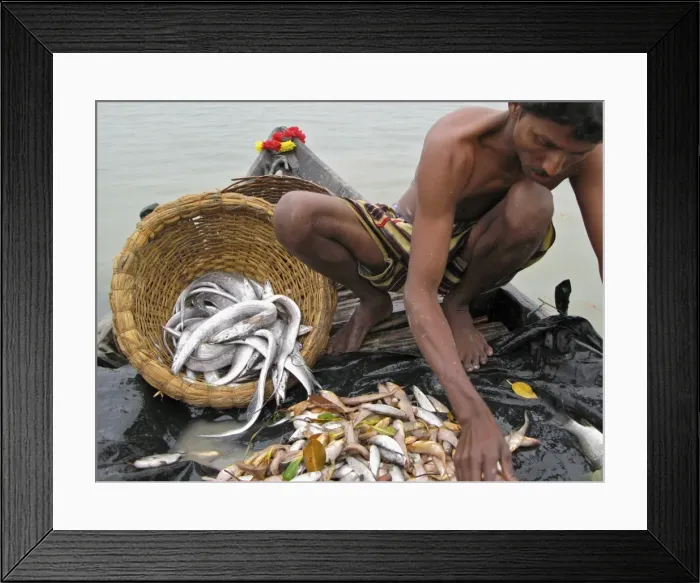 Framed Print : Picture No. 10872163 Framed Print : Picture No. 10872163