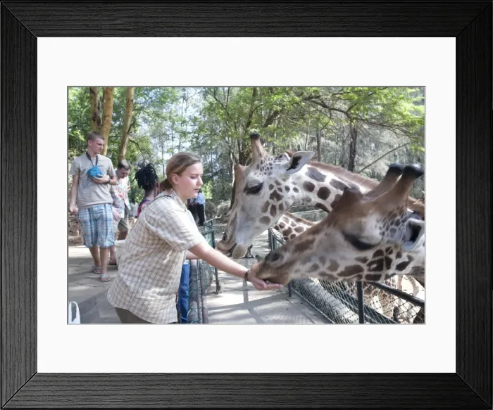 Framed Print : Picture No. 10873407 Framed Print : Picture No. 10873407