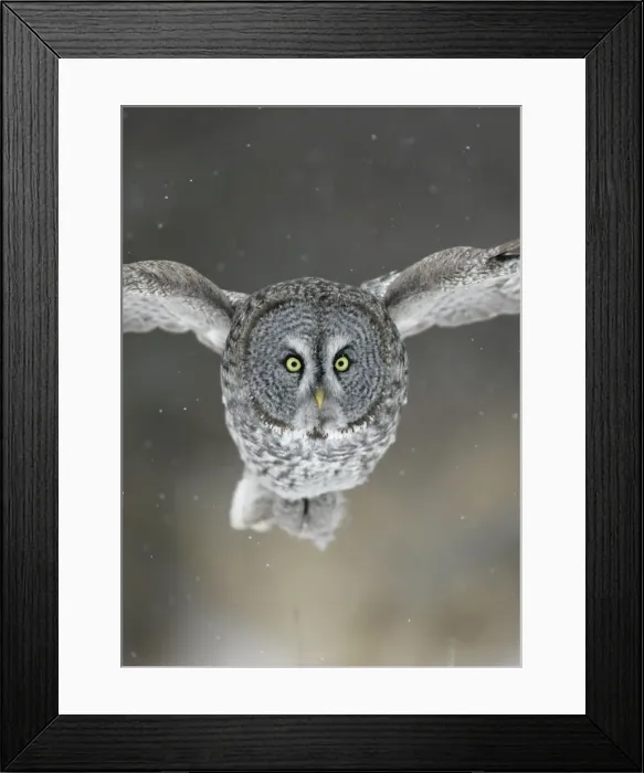 Framed Print : Picture No. 10872626 Framed Print : Picture No. 10872626