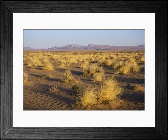 Framed Print : Picture No. 10873747 Framed Print : Picture No. 10873747