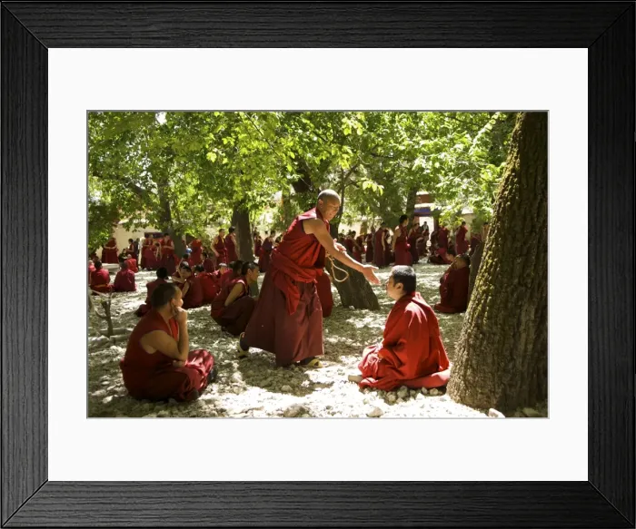 Framed Print : Picture No. 10872161 Framed Print : Picture No. 10872161