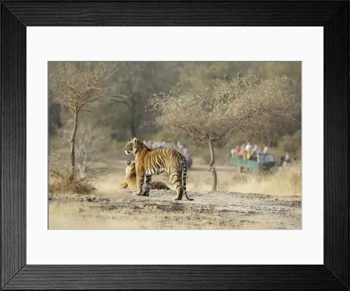 Framed Print : Picture No. 10872245 Framed Print : Picture No. 10872245