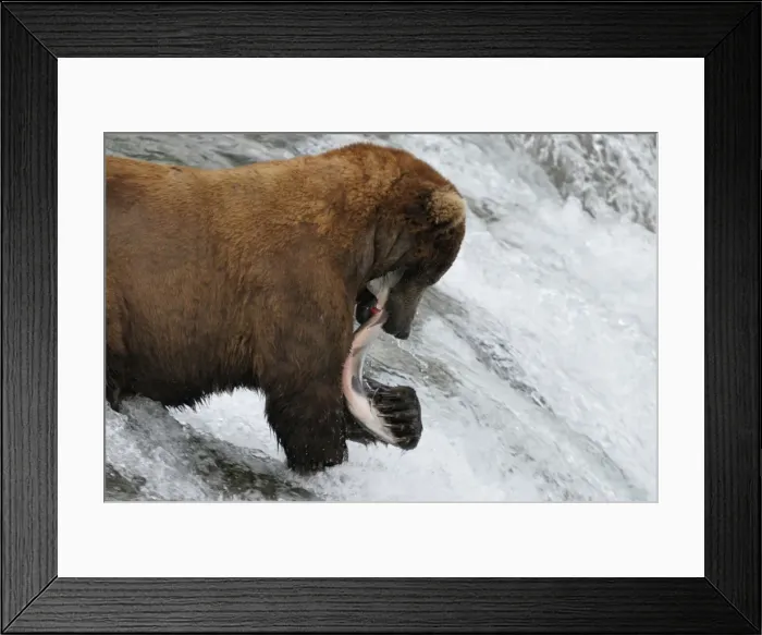 Framed Print : Picture No. 10872427 Framed Print : Picture No. 10872427