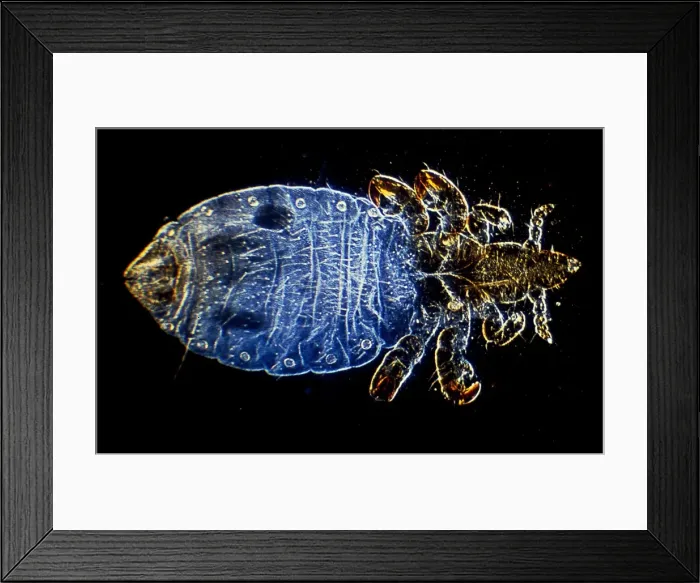 Framed Print : Picture No. 10873636