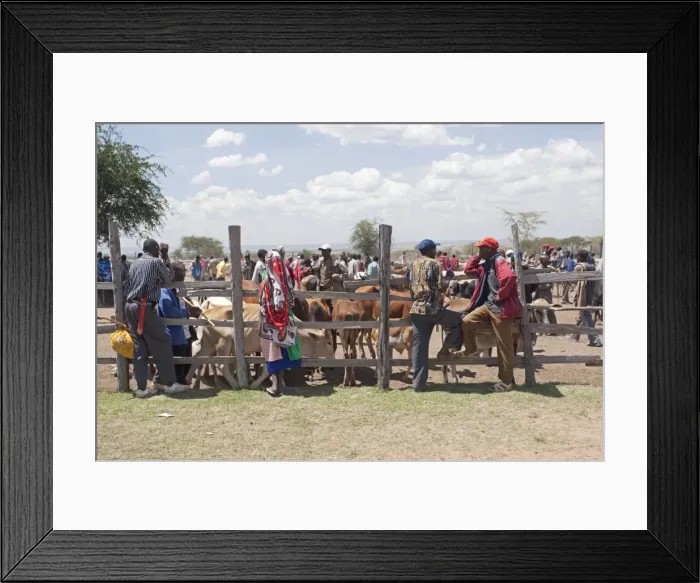 Framed Print : Picture No. 10873449 Framed Print : Picture No. 10873449
