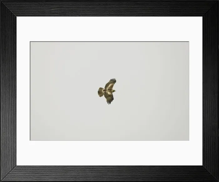 Framed Print : Picture No. 10876396 Framed Print : Picture No. 10876396