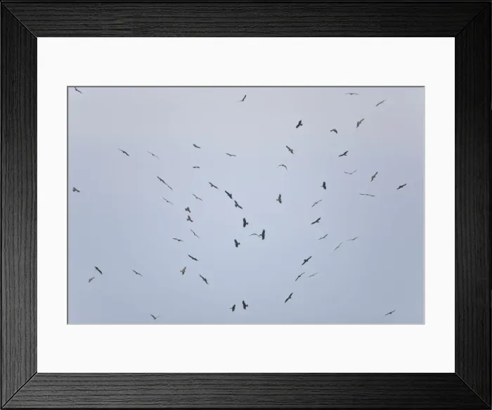Framed Print : Picture No. 10876390 Framed Print : Picture No. 10876390
