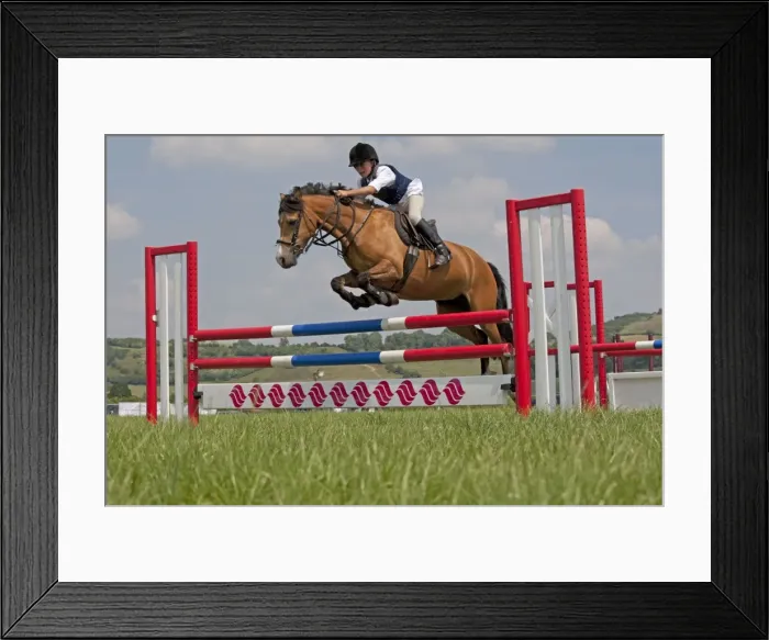 Framed Print : Picture No. 10880696 Framed Print : Picture No. 10880696