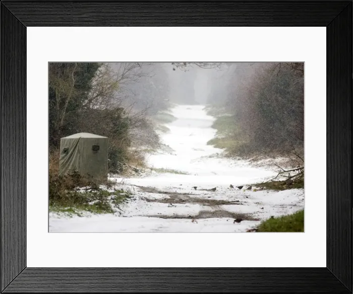 Framed Print : Picture No. 10877532 Framed Print : Picture No. 10877532