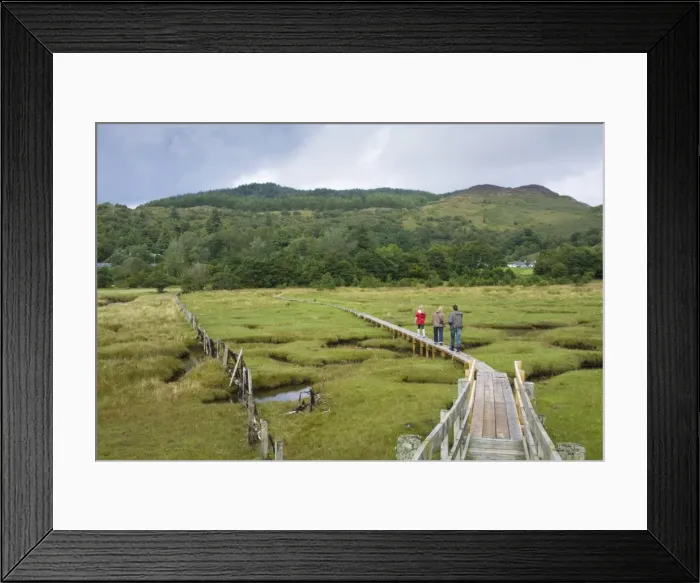 Framed Print : Picture No. 10877200 Framed Print : Picture No. 10877200