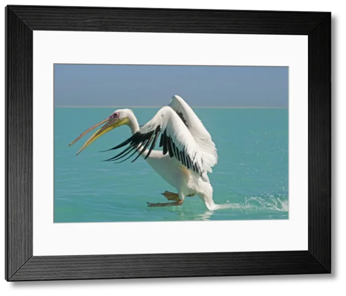 Framed Print : Picture No. 10877581 Framed Print : Picture No. 10877581
