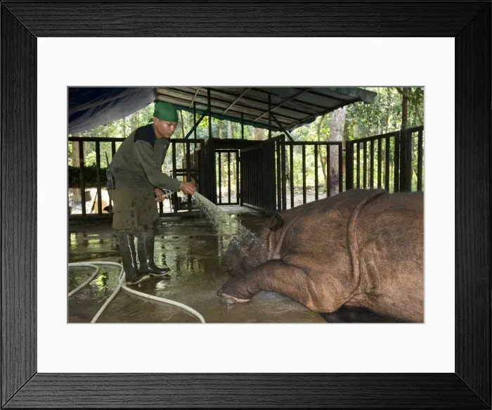 Framed Print : Picture No. 10880347 Framed Print : Picture No. 10880347