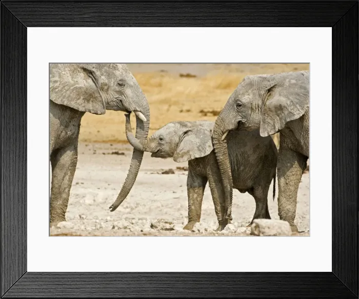 Framed Print : Picture No. 10879344 Framed Print : Picture No. 10879344