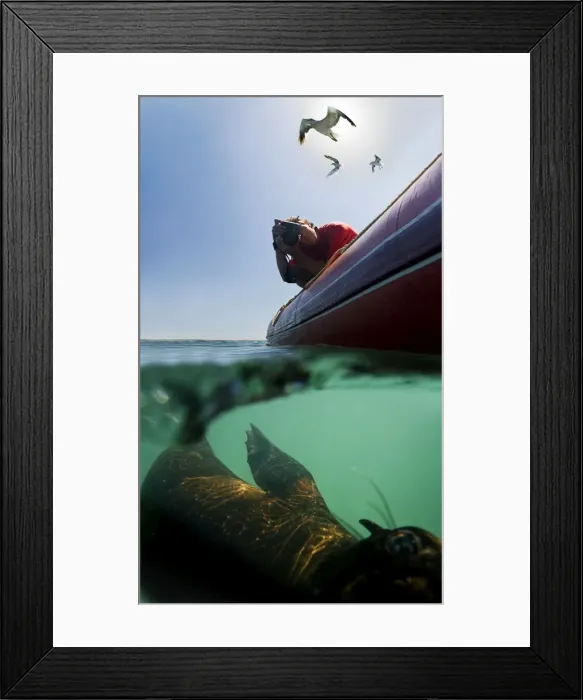 Framed Print : Picture No. 10879269 Framed Print : Picture No. 10879269
