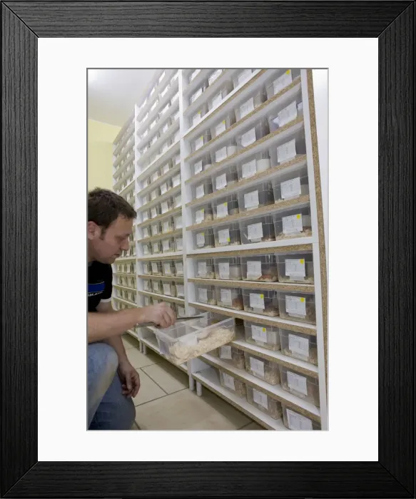 Framed Print : Picture No. 10879457 Framed Print : Picture No. 10879457