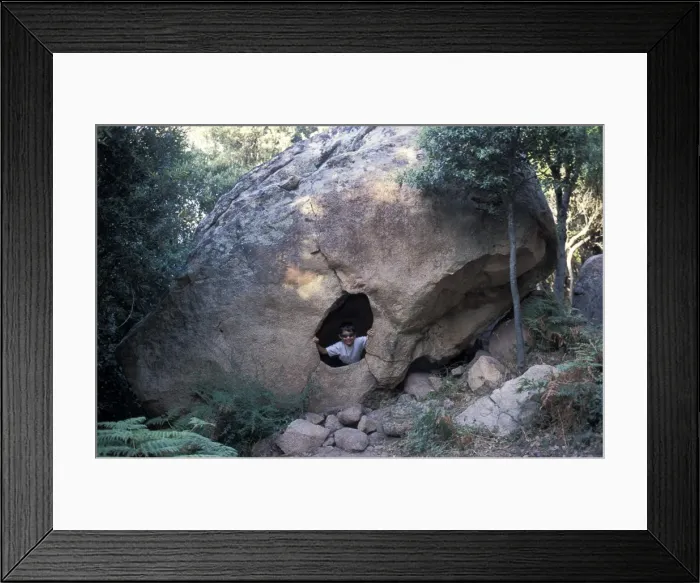 Framed Print : Picture No. 10879380 Framed Print : Picture No. 10879380