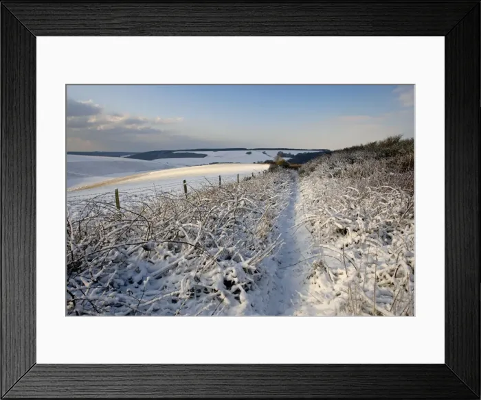 Framed Print : Picture No. 10877599 Framed Print : Picture No. 10877599