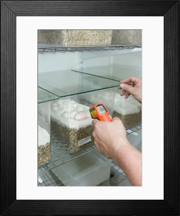 Framed Print : Picture No. 10879456 Framed Print : Picture No. 10879456